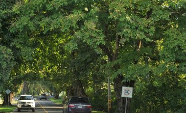 APARTAMENTO EN VENTA - FOREST GATE - ALBROOK