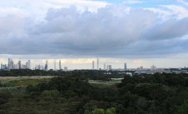 VENTA  PENTHOUSE  320 mts ALBROOK
