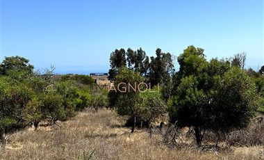 Parcela en Venta en Centinela