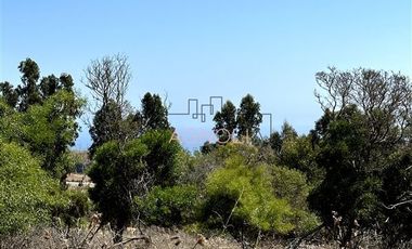 Parcela en Venta en Centinela