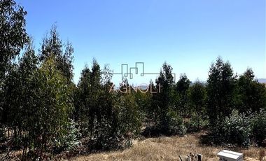 Parcela en Venta en Centinela