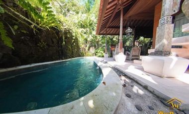 SALE VILLA MEWAH DESAIN ETNIK MINIMALIS DI SAYAN UBUD
