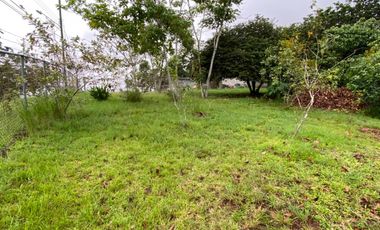 Se Vende Terreno en El Coco de La Chorrera