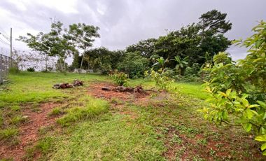 Se Vende Terreno en El Coco de La Chorrera