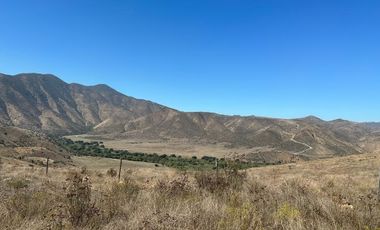 TERRENOS INDUSTRIALES EN VENTA EN VALLE REDONDO