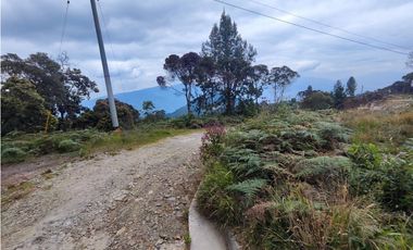 Loteen Caldas en la Miel buena vista