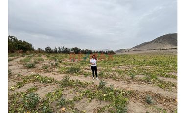 Terreno Agricola De  5 Hectarias  En Santa Maria - Huaura