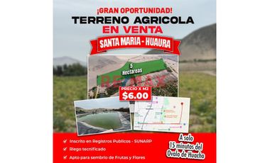 Terreno Agricola De  5 Hectarias  En Santa Maria - Huaura