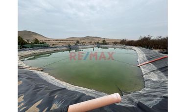 Terreno Agricola De  5 Hectarias  En Santa Maria - Huaura