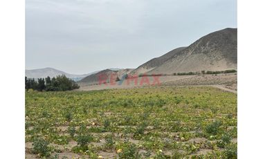 Terreno Agricola De  5 Hectarias  En Santa Maria - Huaura