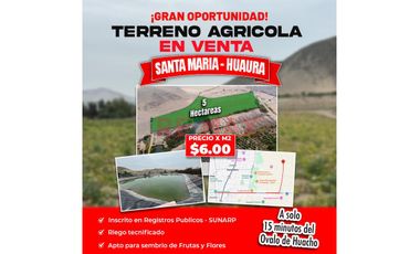 Terreno Agricola De  5 Hectarias  En Santa Maria - Huaura