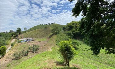 VENTA LOTE PALESTINA, MANIZALES