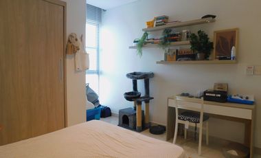 apartamento en venta en punta roca. Cod V92641