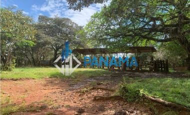 Se Vende Finca Ganadera 165 Hectáreas San Lorenzo USD792,000,