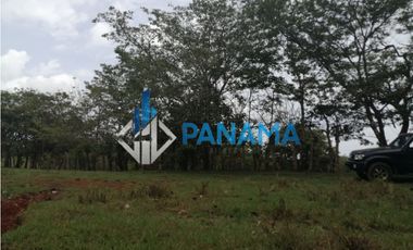 Se Vende Finca Ganadera 165 Hectáreas San Lorenzo USD792,000,