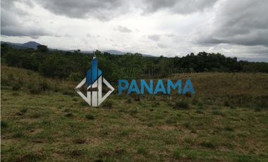 Se Vende Finca Ganadera 165 Hectáreas San Lorenzo USD792,000,