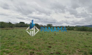 Se Vende Finca Ganadera 165 Hectáreas San Lorenzo USD792,000,