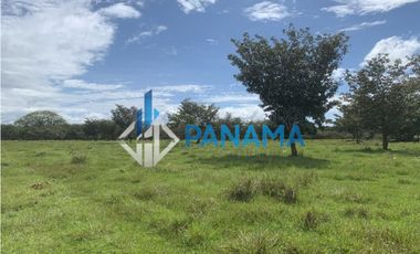 Se Vende Finca Ganadera 165 Hectáreas San Lorenzo USD792,000,