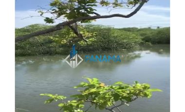 Se Vende Finca Ganadera 165 Hectáreas San Lorenzo USD792,000,