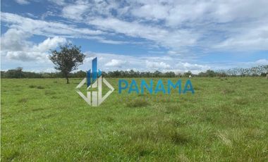 Se Vende Finca Ganadera 165 Hectáreas San Lorenzo USD792,000,