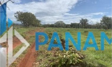 Se Vende Finca Ganadera 165 Hectáreas San Lorenzo USD792,000,