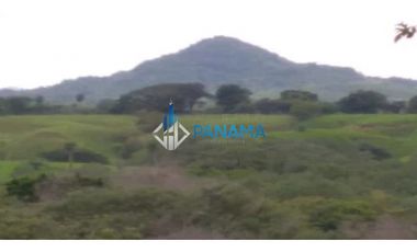 Se Vende Finca Ganadera 165 Hectáreas San Lorenzo USD792,000,