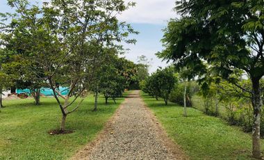casa en arriendo en las mercedes. Cod A15861