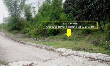 180 Sqm Overlooking Lot for Sale in Greenwoods near Talamban Cebu City with Mountain View