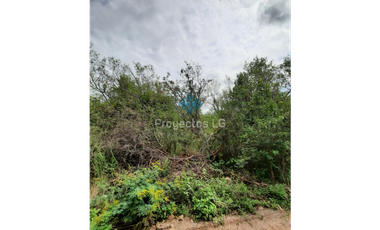 ◇VENTA- LOTES DE 280 M2 Y 560 M2, VILLA ANIMI, LA GRANJA ◇