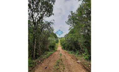 ◇VENTA- LOTES DE 280 M2 Y 560 M2, VILLA ANIMI, LA GRANJA ◇