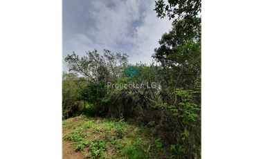 ◇VENTA- LOTES DE 280 M2 Y 560 M2, VILLA ANIMI, LA GRANJA ◇