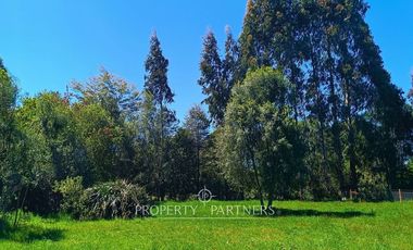 Terreno con Galpones, Casa y Bodegas Riñihue ¡Gran oportunidad de inversión !