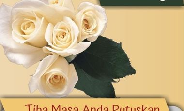 TANAH MURAH PEMALANG : Dekat Pasar Ulujami, Cicil 12x Tanpa Bunga