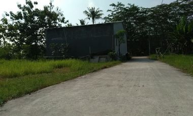 TANAH MURAH PEMALANG : Dekat Pasar Ulujami, Cicil 12x Tanpa Bunga