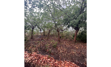VENTA DE TERRENO EN SAN CARLOS