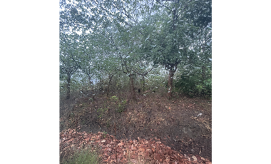 VENTA DE TERRENO EN SAN CARLOS