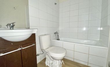 Departamento Ecuador ID: 81737s