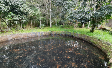 Lotes Agropecuarios con Agua Natural en Pacho, Cundinamarca