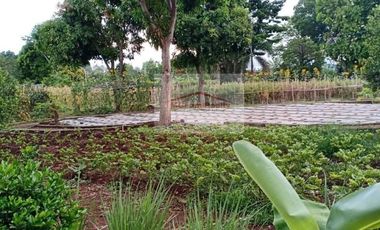 Residential Farm Lot for Sale in Manila East Lakeview Farms Morong Rizal, contact Donald @ 0955561---- or 0933825----