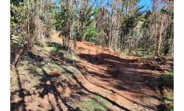 VENTA PARCELAS LA FLORIDA