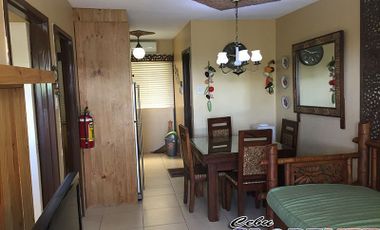 Furnished 2 Bedroom One Oasis Mabolo