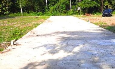 Kavling Selatan SMA 3 Purworejo: Murah SHM P