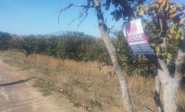 EXCELENTE TERRENO EN SANTA SOFIA