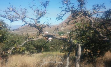 EXCELENTE TERRENO EN SANTA SOFIA