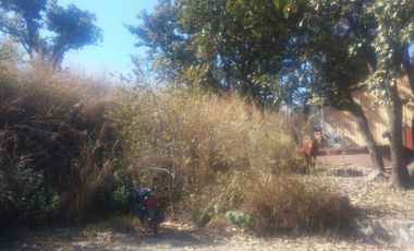 EXCELENTE TERRENO EN SANTA SOFIA