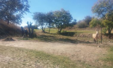 EXCELENTE TERRENO EN SANTA SOFIA