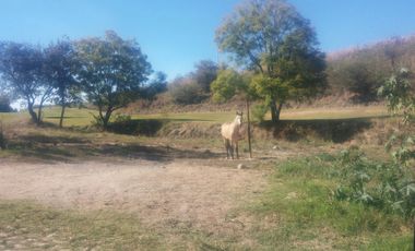 EXCELENTE TERRENO EN SANTA SOFIA