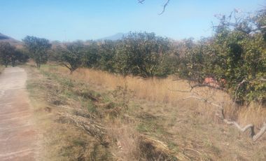 EXCELENTE TERRENO EN SANTA SOFIA