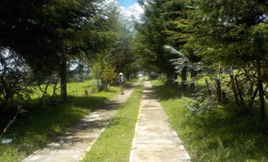 Ranchos Venta Valle de Bravo Zona Carr. Nacional 15-RV-7050