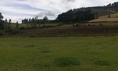 Venta o cambio terreno en la provincia del Carchi